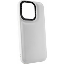 Nettech Apple iPhone 13 Pro Max Uyumlu Casetify Buff Seri Arka Koruma Kılıf