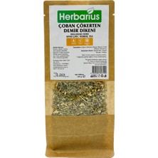 Herbarius Çoban Çökerten - Demir Dikeni 100 gr (Tribulus Terrestris)