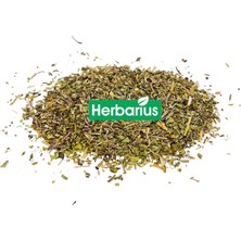 Herbarius Karahindiba Kara Hindiba 100 gr (Dandelion)