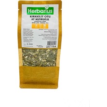 Herbarius Kırkkilit Otu - At Kuyruğu 100 gr (Horsetail Herb)