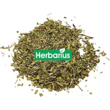 Herbarius Sinirli Ot - Damar Otu - Damarlı Ot 100 gr (Plantain Leaves)