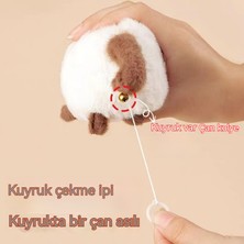 Ruiwen Yavru Kedi Peluş Bebek, Ipi Çek, Hareket Et ve Havla, Sevimli Peluş Çizgi Film Bebeği, Doğum Günü Hediyesi (Yurt Dışından)