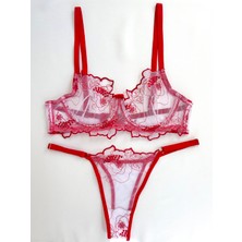 Rosa Balenli Çiçek Desenli Brode Iç Çamaşırı Takımı