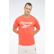 Reebok Reebok identity Erkek Turuncu T-Shirt 101864613