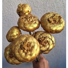 Kutmen Altın Enginar 5 Adet Kuru Çiçek