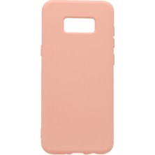 Nettech Samsung Galaxy G955 S8 Plus Uyumlu Nano Arka Koruma Kılıf