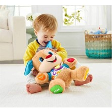 Fisher Price Yaşa Göre Gelişim Eğitici Köpekçik FPN79 (Türkçe)