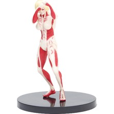 Lalulala Annie Leonhart Figürü Çok Fonksiyonlu Anime Annie Leonhart Figürü (Yurt Dışından)