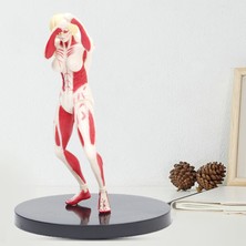 Lalulala Annie Leonhart Figürü Çok Fonksiyonlu Anime Annie Leonhart Figürü (Yurt Dışından)