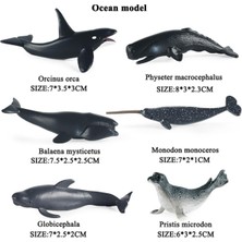 Lalulala Oenux Tarih Öncesi Sealife Hayvanlar Köpekbalığı Balina Nautilus Modeli Aksiyon Figürleri Küçük Deniz Minyatür Pvc Sevimli Çocuk Oyuncakları (Yurt Dışından)