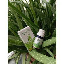 Europe Vital Aloe Vera Yağı 10ML %100 Saf