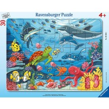 Ravensburger 30 Parça Büyük Çerçeveli Puzzle Deniz Altında 055661