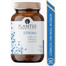 Plantus Strong 576MG 60 Kapsül