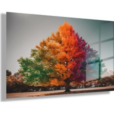Gaagart Temperli Gerçek Yatay Cam Tablo Renkli Çınar Ağacı Görseli