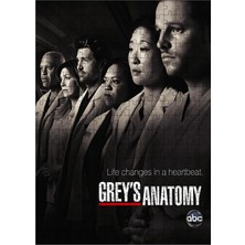 Karizma Tablo Ahşap Mdf Puzzle Yapboz Greys Anatomy Afiş 255 Parça 35*50 cm