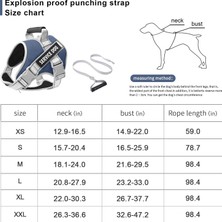 Ruiwen Yansıtıcı Köpek Tasması, Patlamaya Dayanıklı Köpek Yürüyüş Ipi (Yurt Dışından)