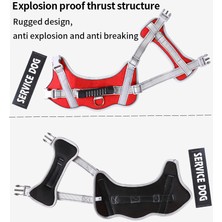 Ruiwen Yansıtıcı Köpek Tasması, Patlamaya Dayanıklı Köpek Yürüyüş Ipi (Yurt Dışından)