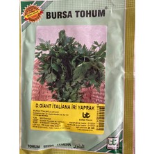 Bursa Tohum Maydanoz Tohumu 25 gr Iri Yaprak