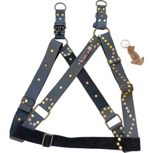 Balkonda Köpek göğüs tasması deri antrasit renk metal zımba işlemeli genişlik:3cm göğüs ölçüsü:60-90cm ayarlanabilir dog harness GT1-31