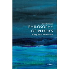 Philosophy Of Physics, David Wallace (A Very Short Introduction)