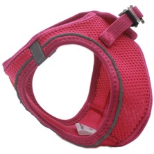 Pawstar Aırmesh Kedi Köpek Göğüs Tasması