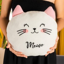 Keyfim Shop Sevimli Kedi Polar Yastık 35*35CM