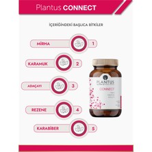 Plantus Connect 60 Kapsül