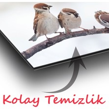 Duvar Sanatı Serçe Kuşları Panoramik Cam Tablo, Modern Ev Ofis Yatak Odası Duvar Dekoru, Hediyelik Tablo