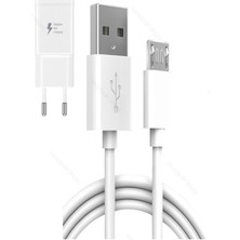 Dvr Gsm Samsung Galaxy J6 Plus Hızlı Şarj Aleti 18W 3 Amper Micro USB Başlık ve Kablo
