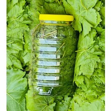 Yücehas Tarım Taze Asma Yaprağı Kuru Basım 3 Lt Pls Kavanoz Net: 1 kg