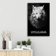 Decorita Cam Tablo | Motivasyon Serisi | Kurt - Uygulama | 40CM x 60CM