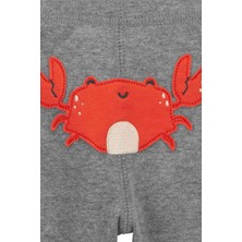 Carter's Erkek Bebek 3lü Set