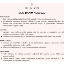 FEU DU CIEL Kök Çakra Sedir ( Ağaç ) Kokulu Mum 85 gr