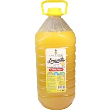 Tatlıcıdan Limonata Donuk Konsantre 3.3 Lt