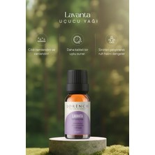 Lavanta Uçucu Yağı 10 ml