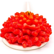 Missi Dekoratif Mercan Mum ve Seramik Mum Altlığı