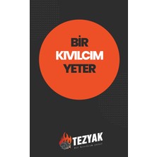 Tezyak Tek Kibritle Yanan Yeni Nesil Mangal Kömürü 2 kg x 2 Paket