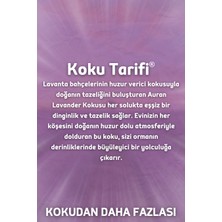 Auran Lavanta Yedek Çubuklu Oda Ve Ortam Kokusu Esansı Yedek Dolum Şişe Lavender 250ml