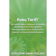 Auran Bahar Esintisi Yedek Çubuklu Oda Ve Ortam Kokusu Esansı Yedek Dolum Spring Breeze 250ml