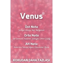 Auran Venüs Yedek Çubuklu Oda Ve Ortam Kokusu Esansı Yedek Dolum Venus 250ml