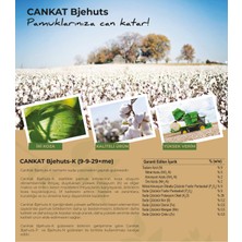 Cankat Cankat-Bjehuts-K-9-9-29