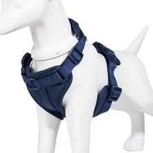 Pakeway  '' Fancy '' 4 Parça Köpek Gezdirme Seti - Amerika'nın En Meşhur Köpek Gezdirme Seti