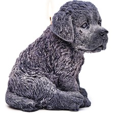 Missi Dekoratif Büyük Siyah Köpek Mum