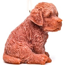 Missi Dekoratif Büyük Kahverengi Köpek Mum