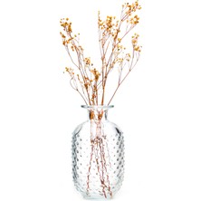 Missi 25 cm Damla Kabartmalı Cam Vazo