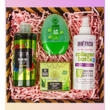 Ejoya Doğal Sabun & Aloe-Vera Gel & Tuz Peeling & Saç Bakım Collagen Hediye Seti 110924