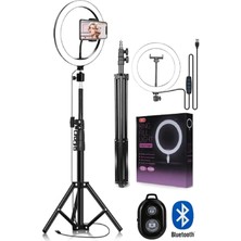 Voground Reing Fill Light LED Işıklı Tripod 10 Inç Halka Youtuber Tiktok Makyaj Işığı Ayaklı 10 Inç TRIPOT38