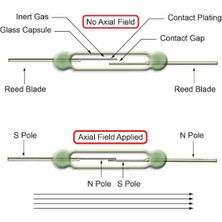 Robiz 14MM Reed Röle Anahtar Sensör Switch Manyetik Alan Mıknatıs Algılayıcı No Kontak Çıkışı Kapı Pencere