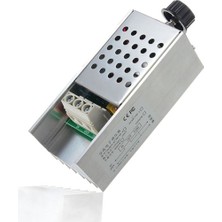 Robiz 10000 Watt Dimmer Ac 220V 10000W