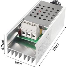 Robiz 10000 Watt Dimmer Ac 220V 10000W